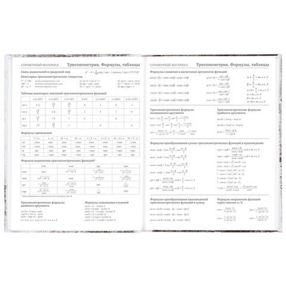 Дневник 5-11 класс 48 л., твердый, BRAUBERG, глянцевая ламинация, с подсказом, "Крутой Байк", 106391
