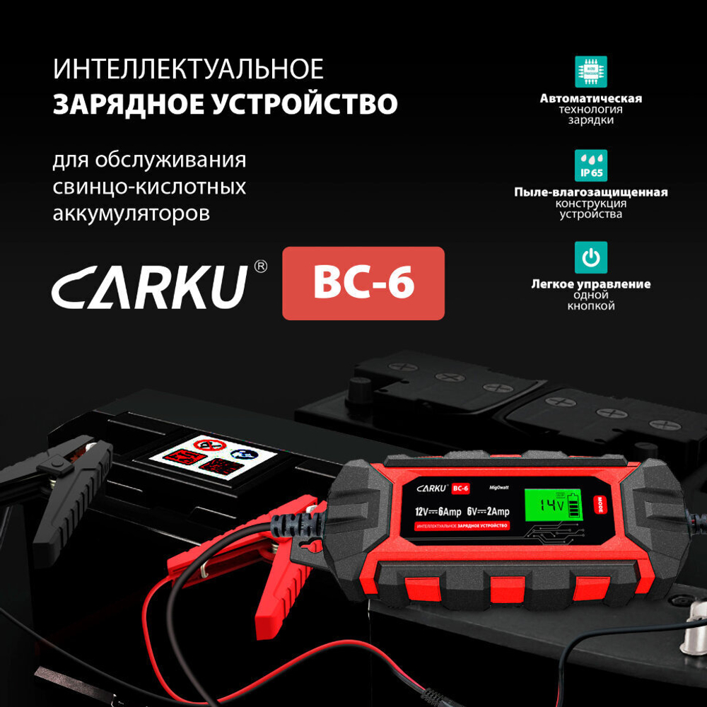Зарядное устройство для аккумуляторов Carku BC-6