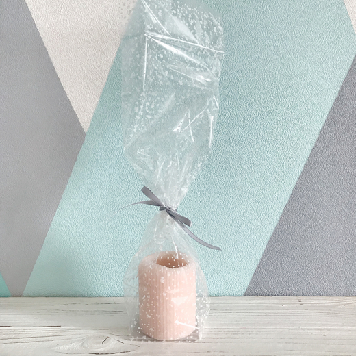 Прозрачный пакет с жестким дном, 6х8х30 см