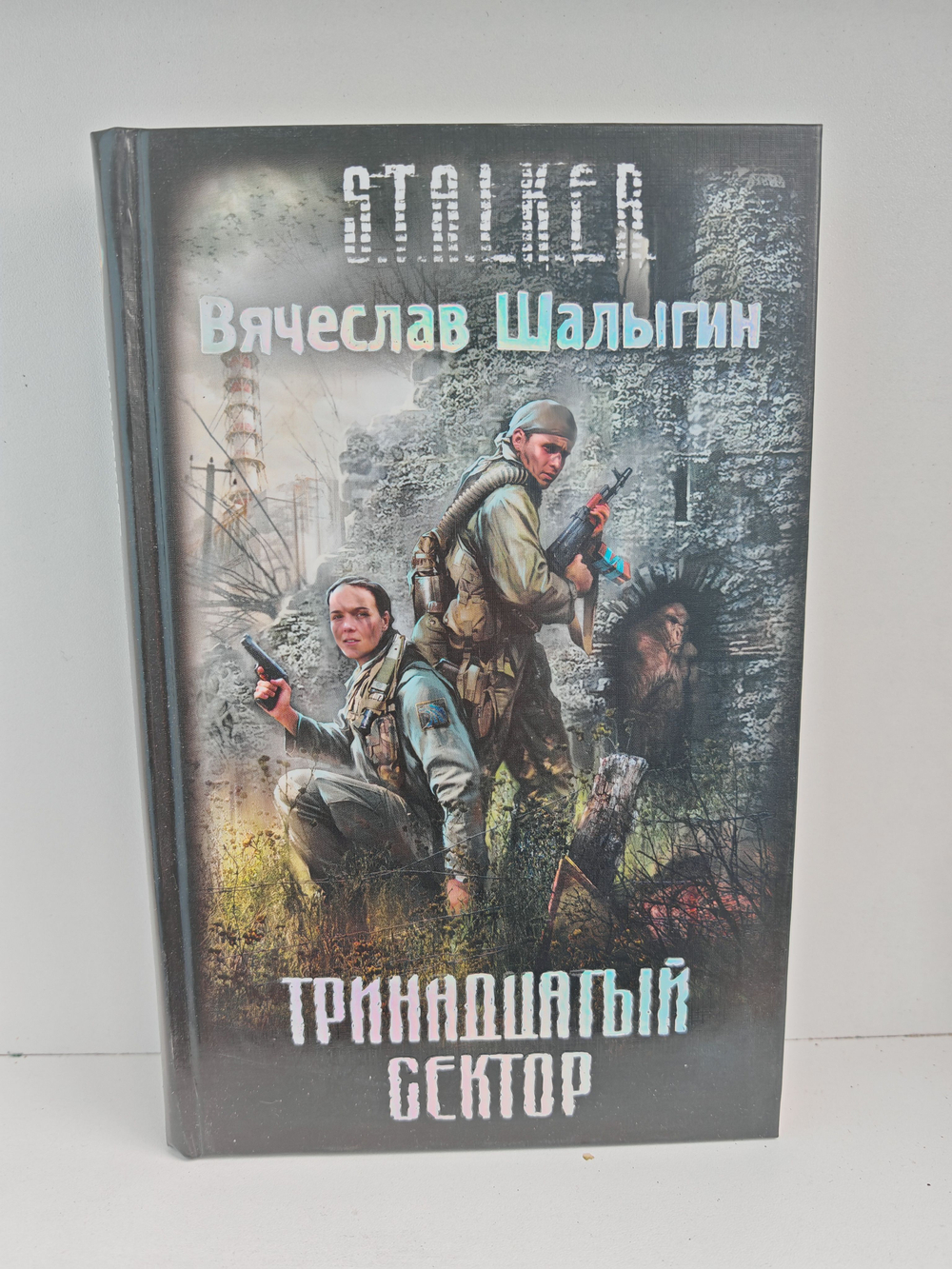 Тринадцатый сектор