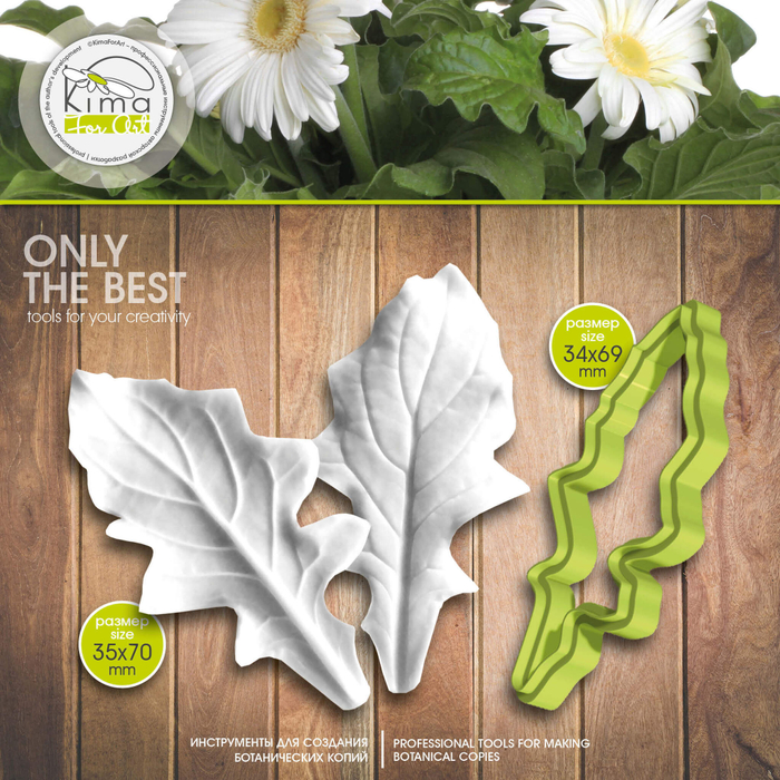 Гербера лист маленький