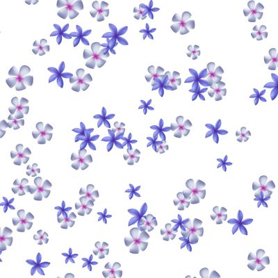 Плюмерия на белом фоне