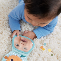 Fisher-Price / Качающаяся выдра 2-в-1 подушка для животика с мягкой книжкой/ HXG96