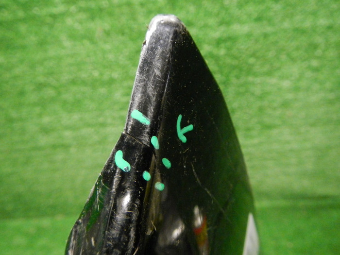 DSCN9409.JPG