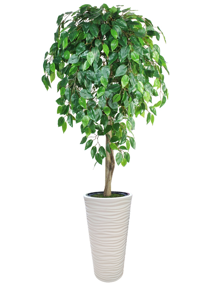 Искусственное дерево Фикус Зеленый 190 см в высоком круглом белом кашпо