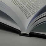 Китайский взгляд на мир