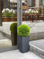 Озеленение искусственными растениями отеля "Hilton" г.Краснодар