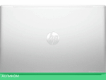 Ноутбук HP ProBook 450 G10 816J2EA