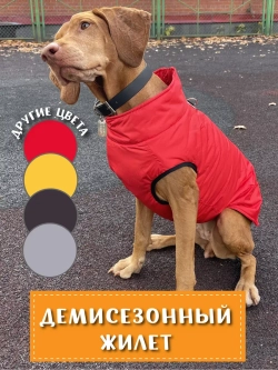 Жилет для собак мелких средних крупных пород