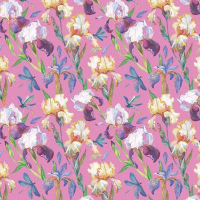 ирисы и синие стрекозы на розовом фоне