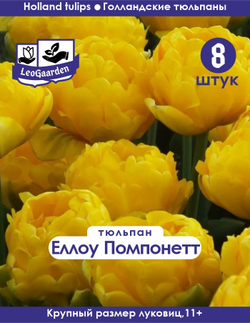 Тюльпан Луковица, Еллоу Помпонетт, 8шт