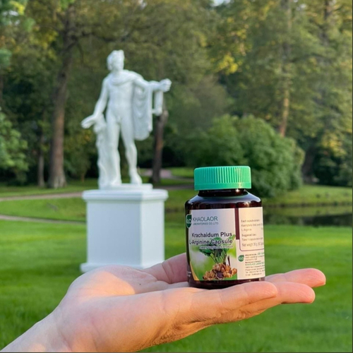Капсулы для мужчин Кра Чай Дам с L - аргинином для лечения простатита и повышения потенции Krachaidum Plus L-arginine Capsule Khaolaor