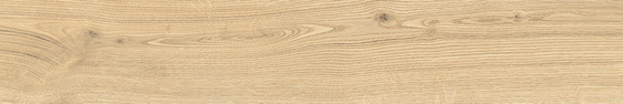 20x120 VividWood Светлый Дуб Матовый R10A