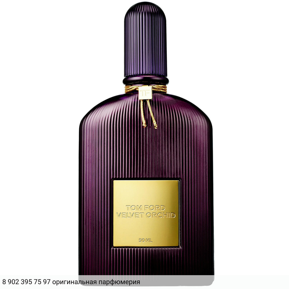 Velvet Orchid