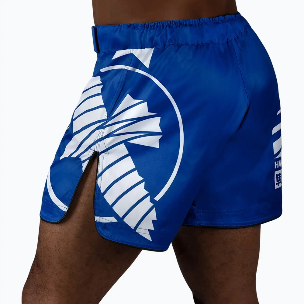Шорты Hayabusa Icon MMA сине-белые