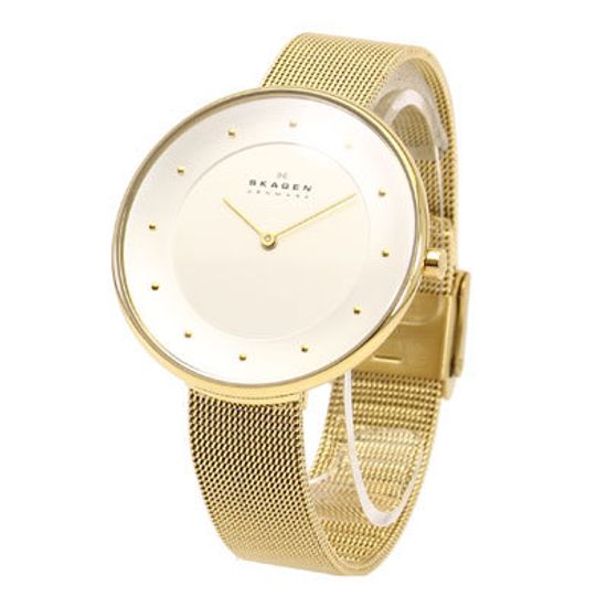Женские часы Skagen SKW2141