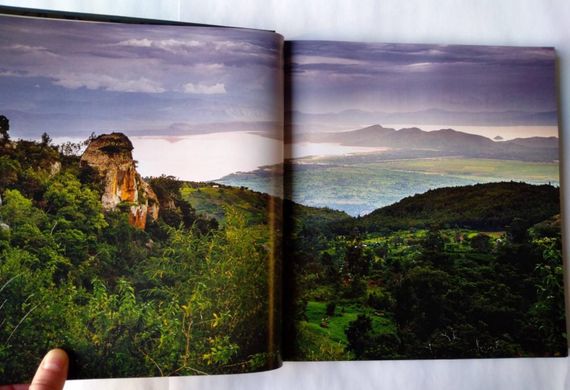 Кофеология. История кофе: от плода до вдохновляющей чашки