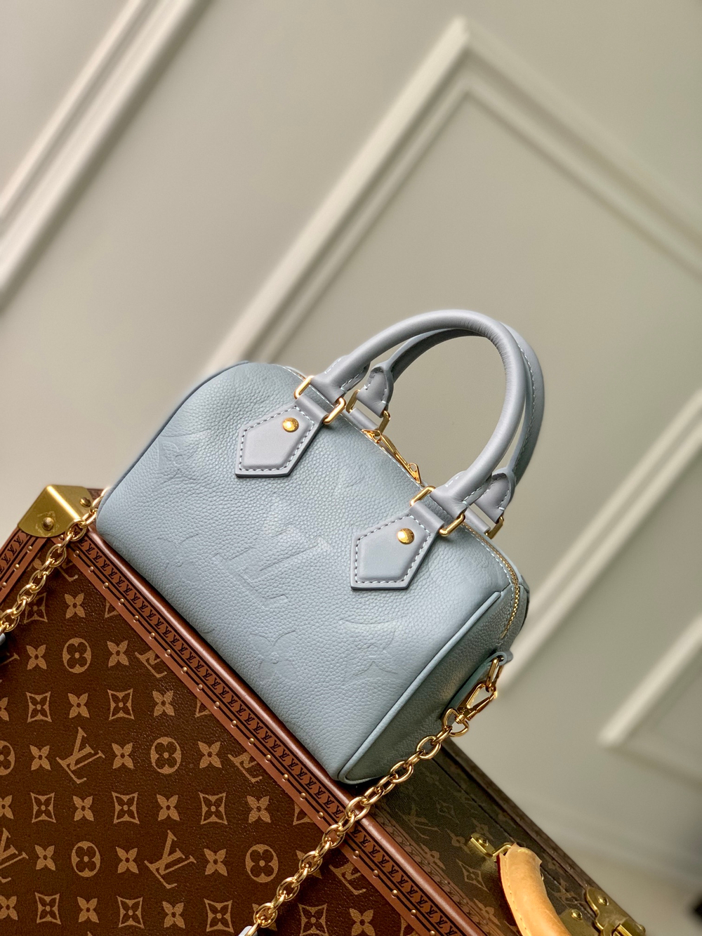 Louis Vuitton Speedy 20