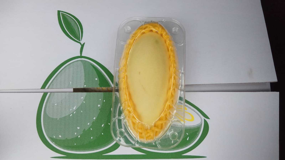 МАНГО- сорт "КЕЙТ" (ЕГИПЕТ)