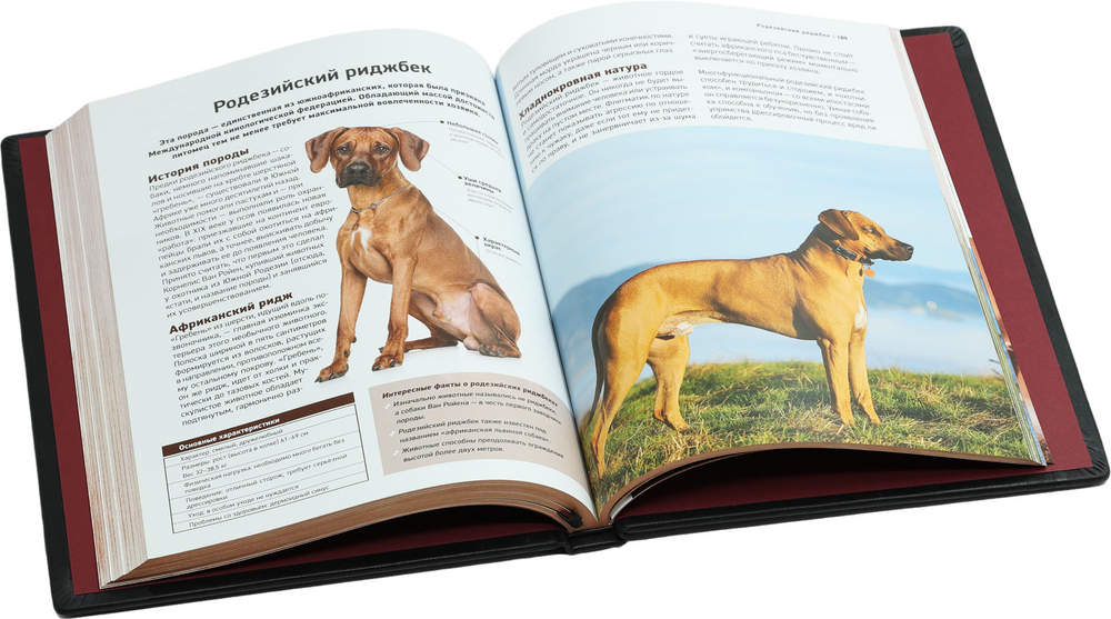 Все породы собак