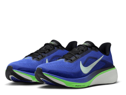 Мужские беговые кроссовки Nike Pegasus 42 M сине-зеленые