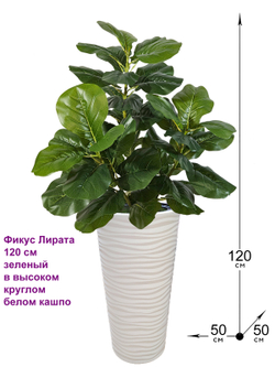Искусственное растение Фикус Лирата 120 см зеленый в высоком круглом белом кашпо