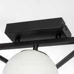 Citilux DORSY CL223162 LED Люстра поворотная Чёрная