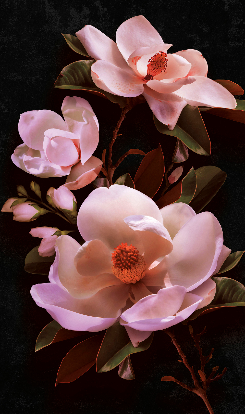 Коллекция Flower Dreams