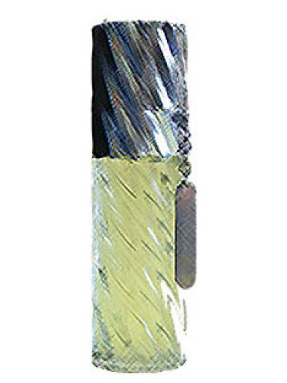 Roberta di Camerino Roberta