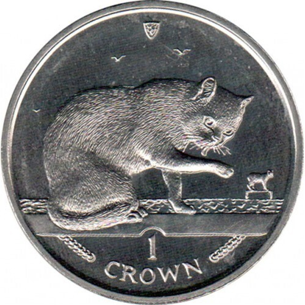 Британская короткошёрстная кошка