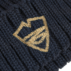 Шапка Питерский Щит Лого Синий