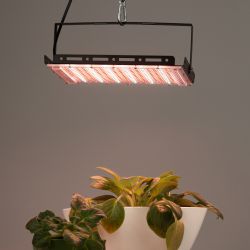 Фитопрожектор для растений светодиодный ЭРА GREEN LINE FITO-200W-Ra90-LED-Y-GR полного спектра 200 Вт | Фито прожекторы