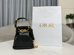 Christian Dior Small C'est Dior Bag 17 cm