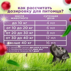 Кормовая добавка для нормализации и улучшения мочевыделительной системы и профилактики цистита, суспензия для собак Стоп-цистит БИО (Apicenna), 50мл
