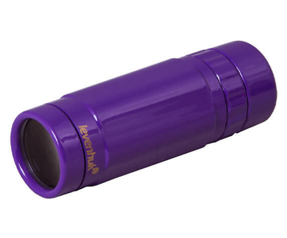 Монокуляр Levenhuk Rainbow 8x25 Amethyst