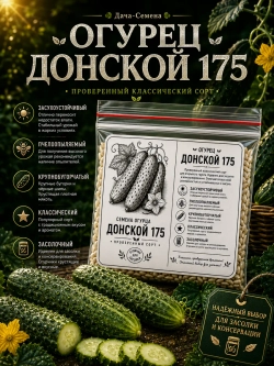 Семена огурца Донской 175
