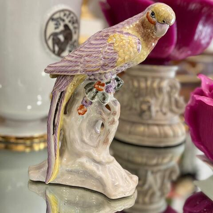 Попугай на ветке