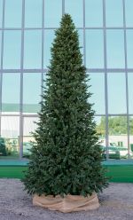 большая ель "Сказочная" ствольная искусственная елка