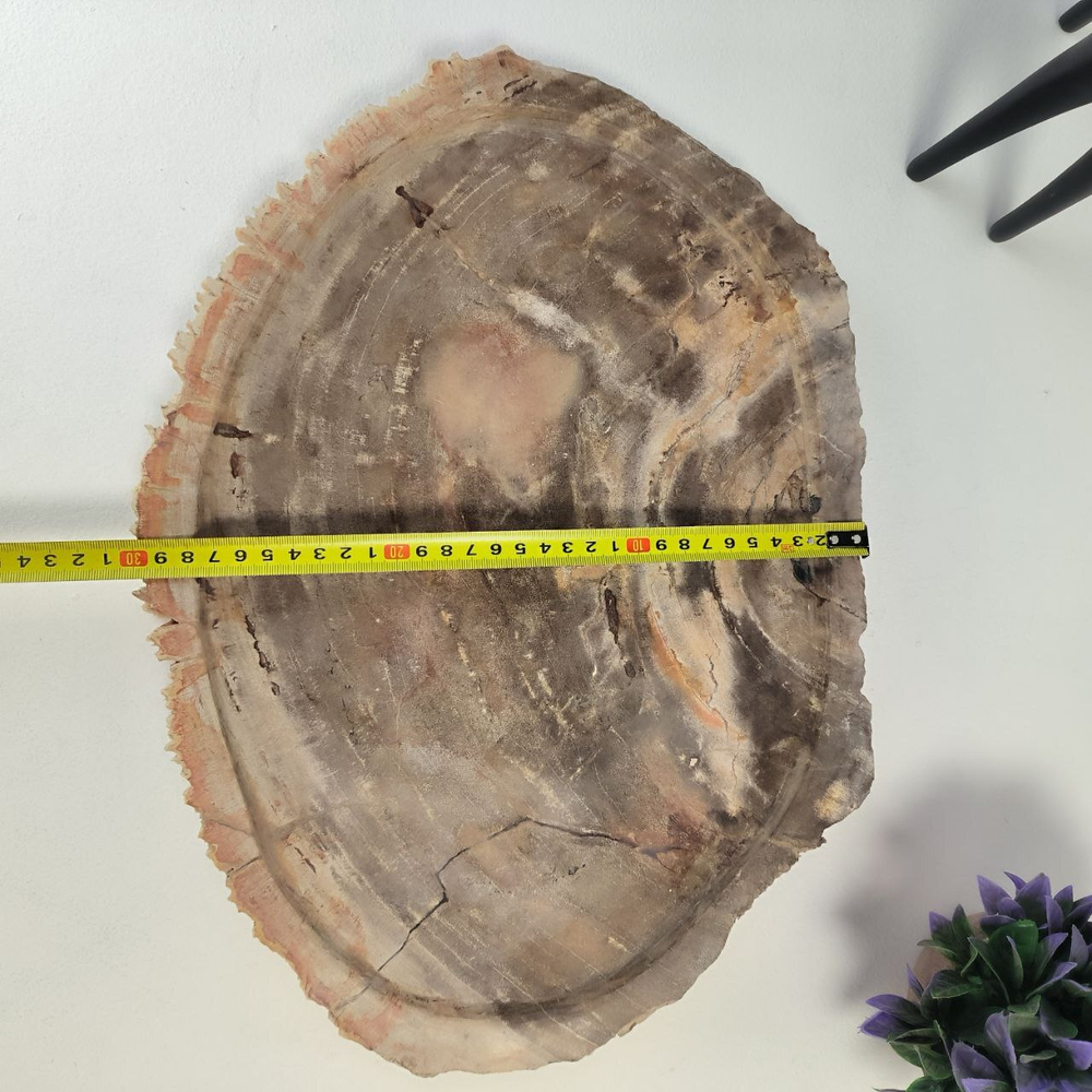 Набор из окаменелого дерева 4 предм Fossil Set NF-63065 поднос 30см*42см