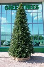 Большая елка «Сказочная» (Литая+пвх) 7,5 м