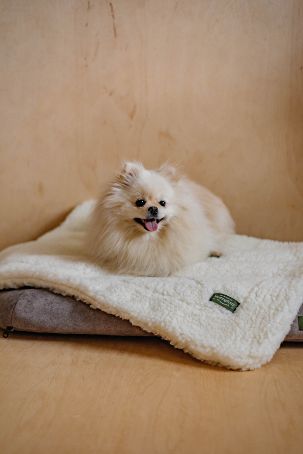 Плед "Пони-сони" Белый