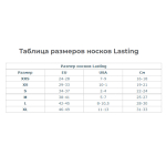 Носки Lasting RTF 900, microfiber+polypropylene, черный, размер L, RTF900L