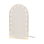 Комплект для визажиста LB-K1-039