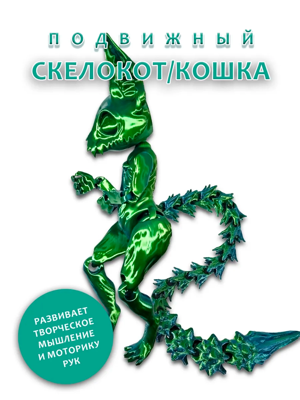 Скелет Кошки