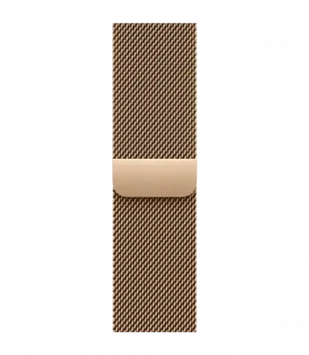 Apple Watch Series 10 42mm Titanium Gold Case/Milanese Titanium loop