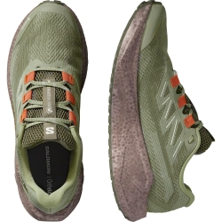 Кроссовки для бега Salomon AERO BLAZE 3 GRVL GORE-TEX Tea / Iron / Burnt Ochre
