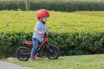 Беговел Globber Go Bike Elite red