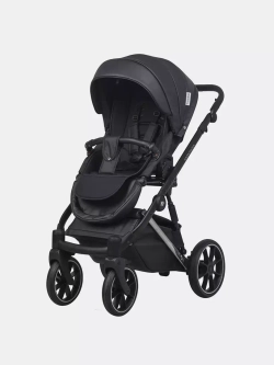 Коляска MONTANA PREMIUM (2 в 1) (RIKO BASIC)