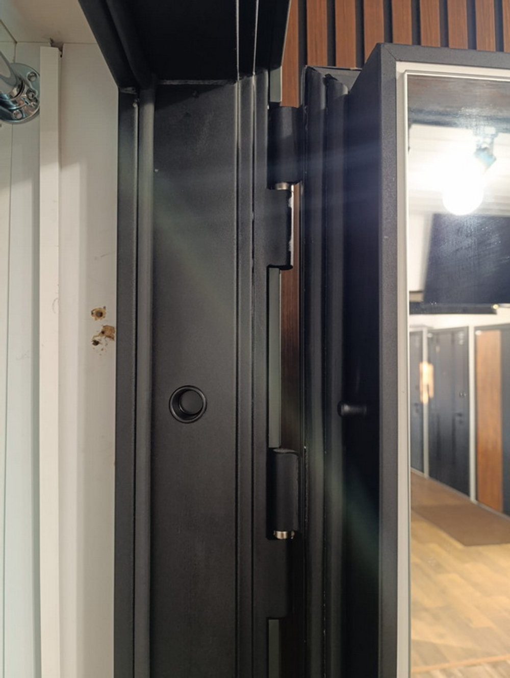 Стальная дверь "Ferrum" с зеркалом (адаптивная замковая часть)