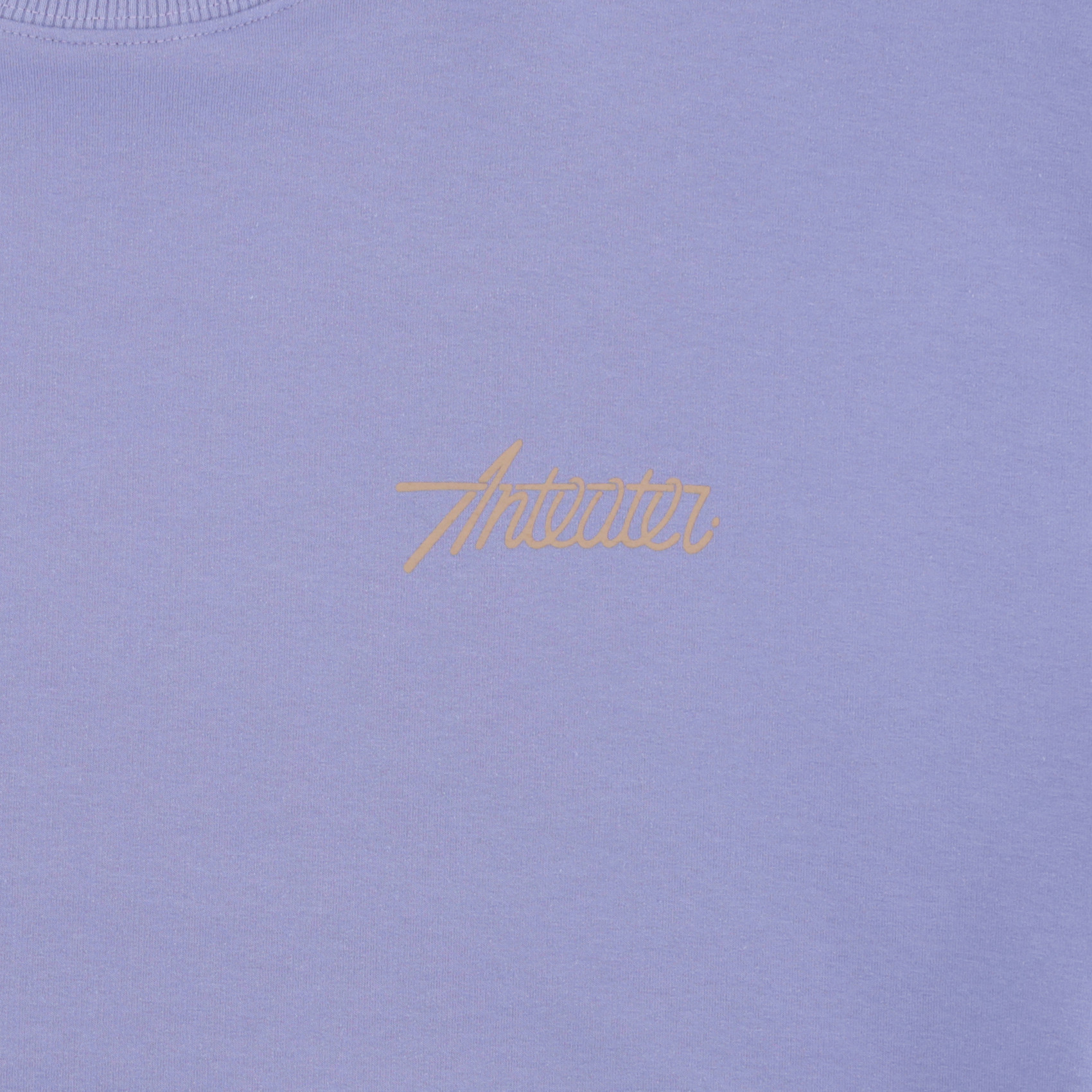 Футболка Anteater Phat Tee 325 (light-violet) артикул: - купить в магазине Дайс